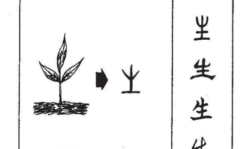 红豆吃法和做法大全家常-健康养生红豆的吃法网 :分享健康养生红豆的吃法有哪些-红豆4种吃法轻松养气血知识